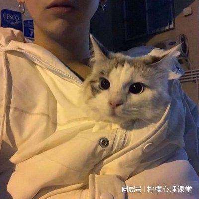 破碎黎明3破解版下载